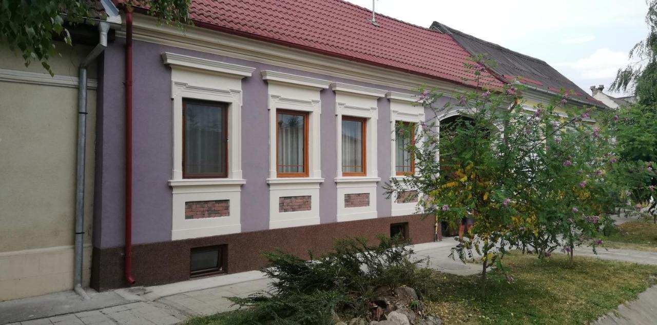 Casa De Vacanta Ayan Hărman Exterior foto
