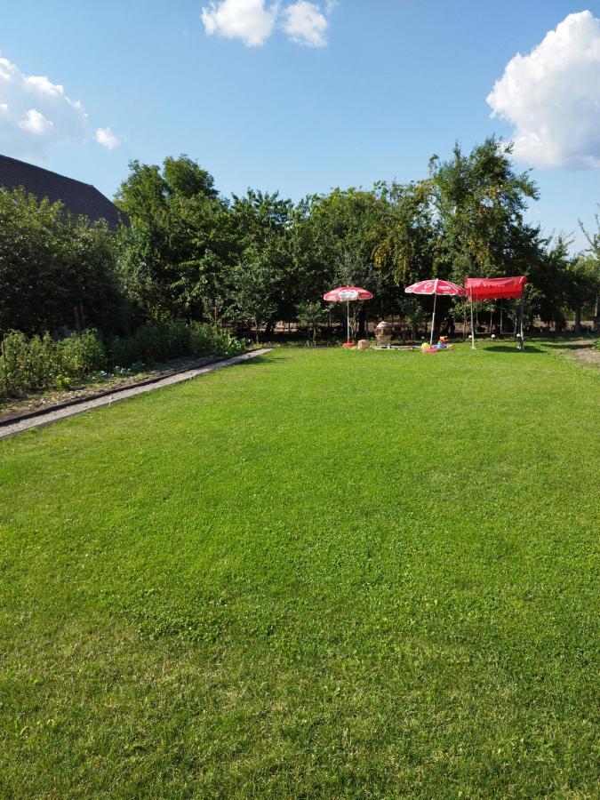 Casa De Vacanta Ayan Hărman Exterior foto